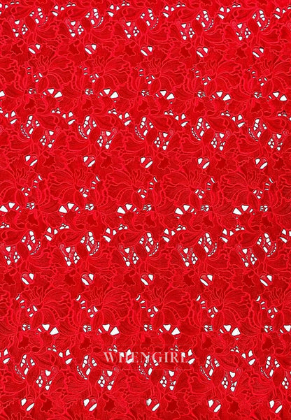 A-Line Long Sleeves Lace Top Back Zipper Mother of the Bride Dress Evening Dress