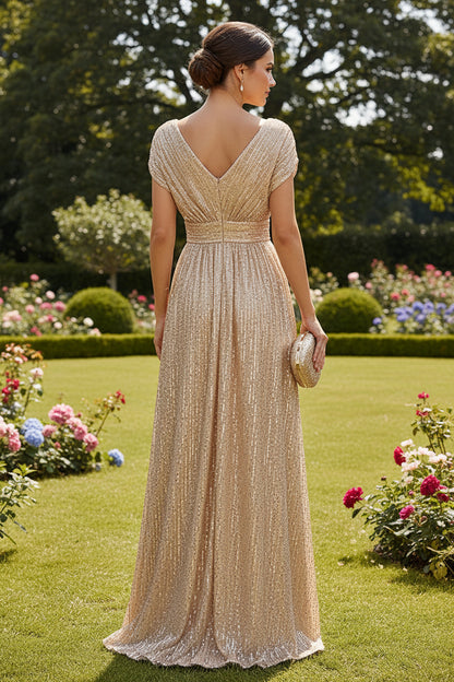 V-Neck Pleated Sequin A-Line Evening Gown