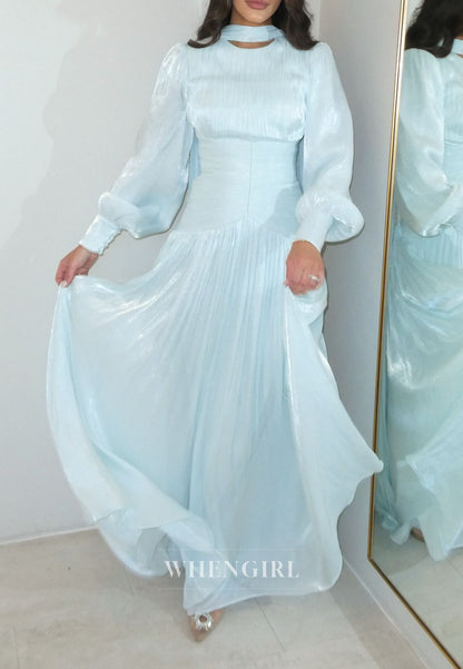 Pleated Long Sleeve Gown with High Neck