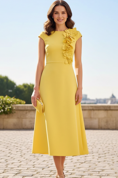 3D Floral Applique Midi A-Line Dress