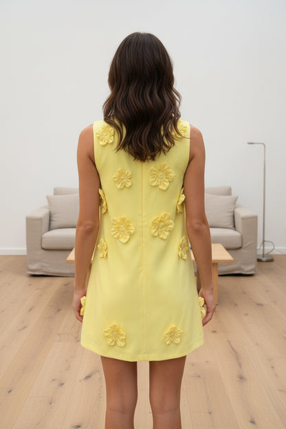3D Floral Sleeveless A-Line Mini Dress